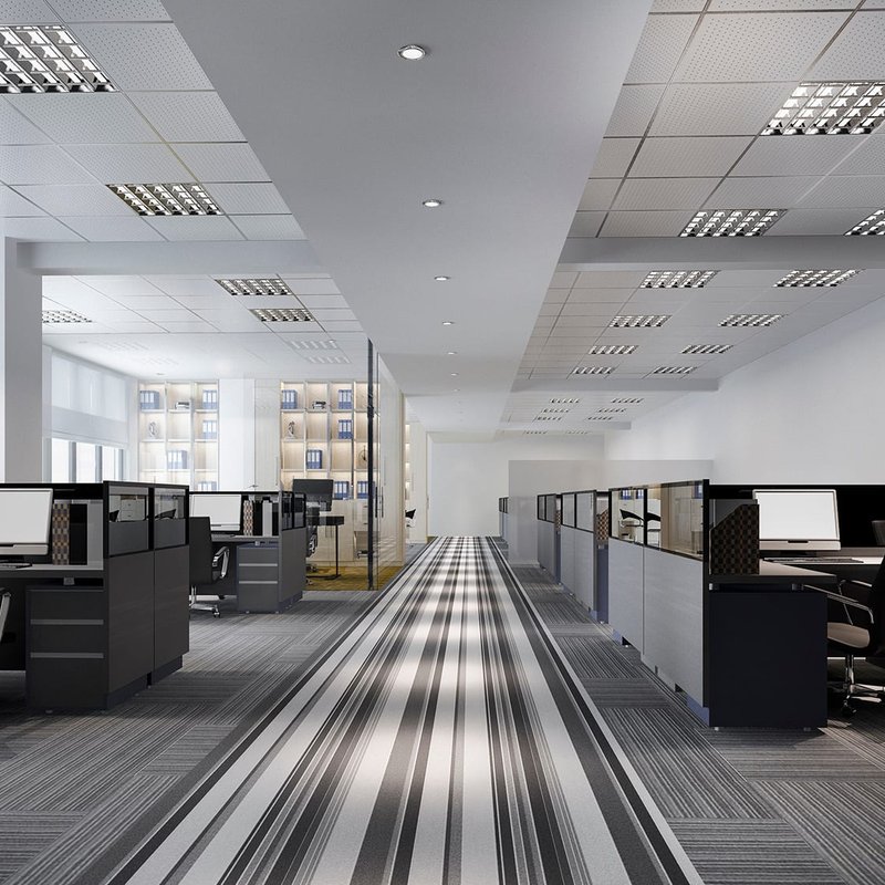 Which Carpets Are Best for High-Traffic Areas in Albany, NY?